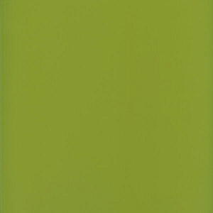 Фасад кухонный МДФ Пленка Оливковый глянец 21 G